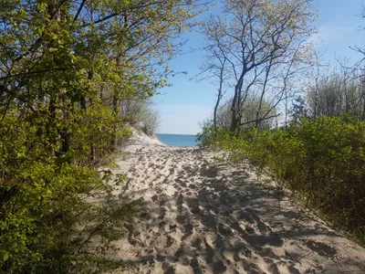 Plaża