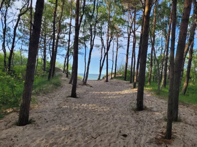 Plaża