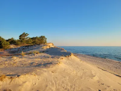 Plaża